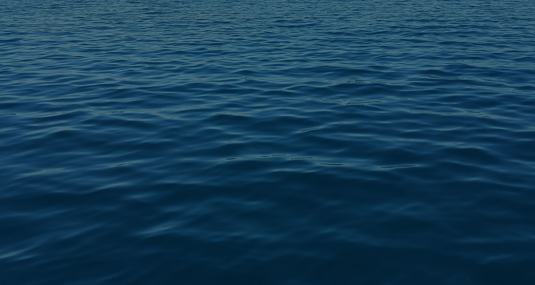 Shelf Subsea Donation